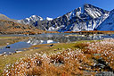 ������ ���� ��� ��-���