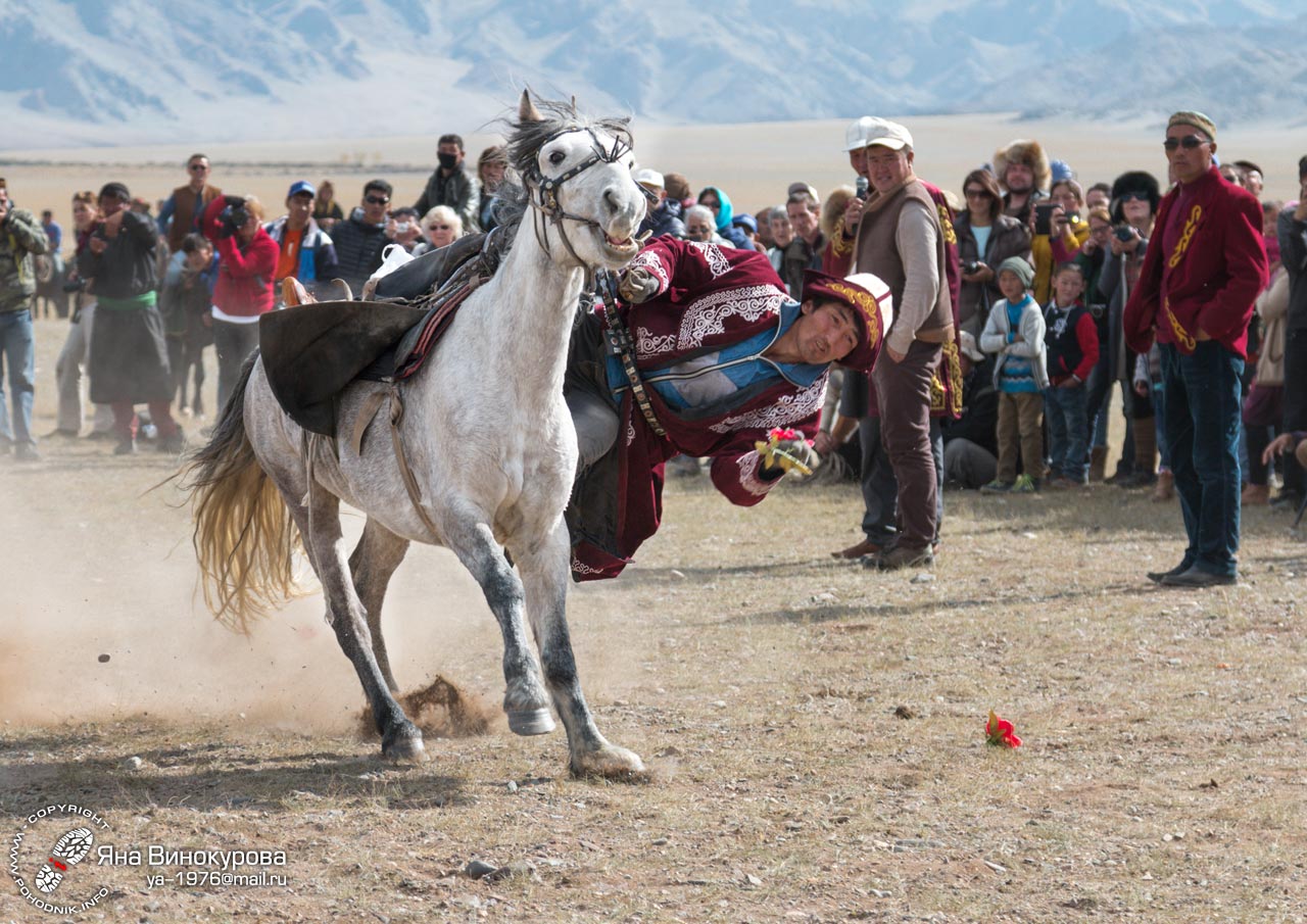 Монголия. Фестиваль охотников с беркутами (автомобильный фото-тур МК)