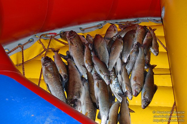 Рыбалка в Монголии