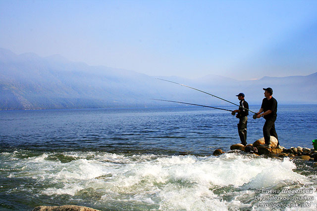 Рыбалка на Телецком озере